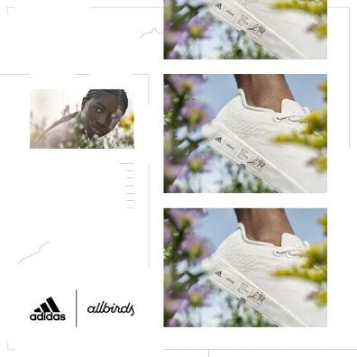 cadr of white shose